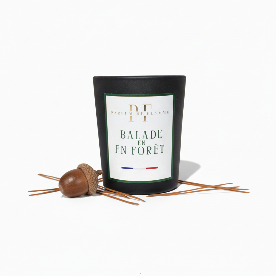 Balade en Forêt .